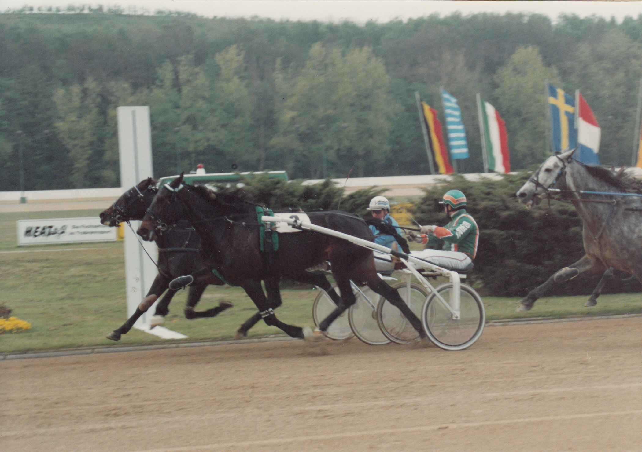 Bild-Pokal