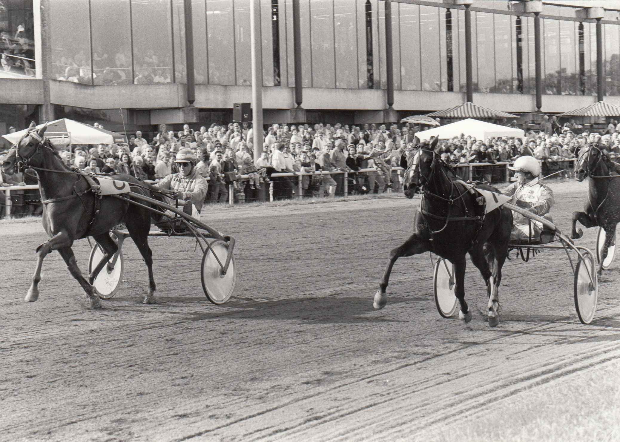 Breeders Crown