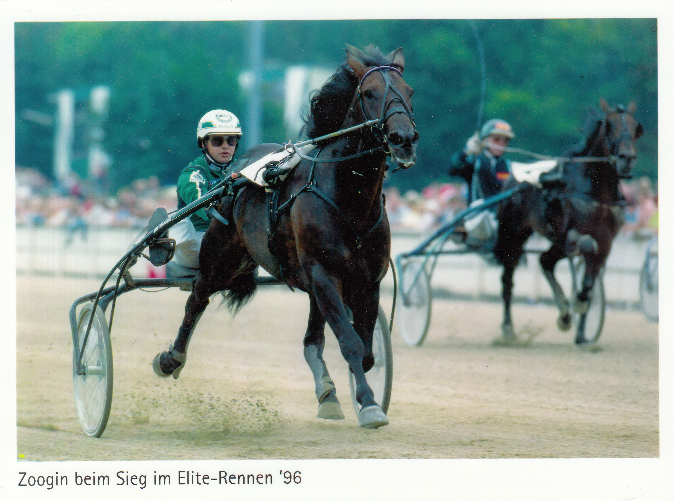 Elite-Rennen