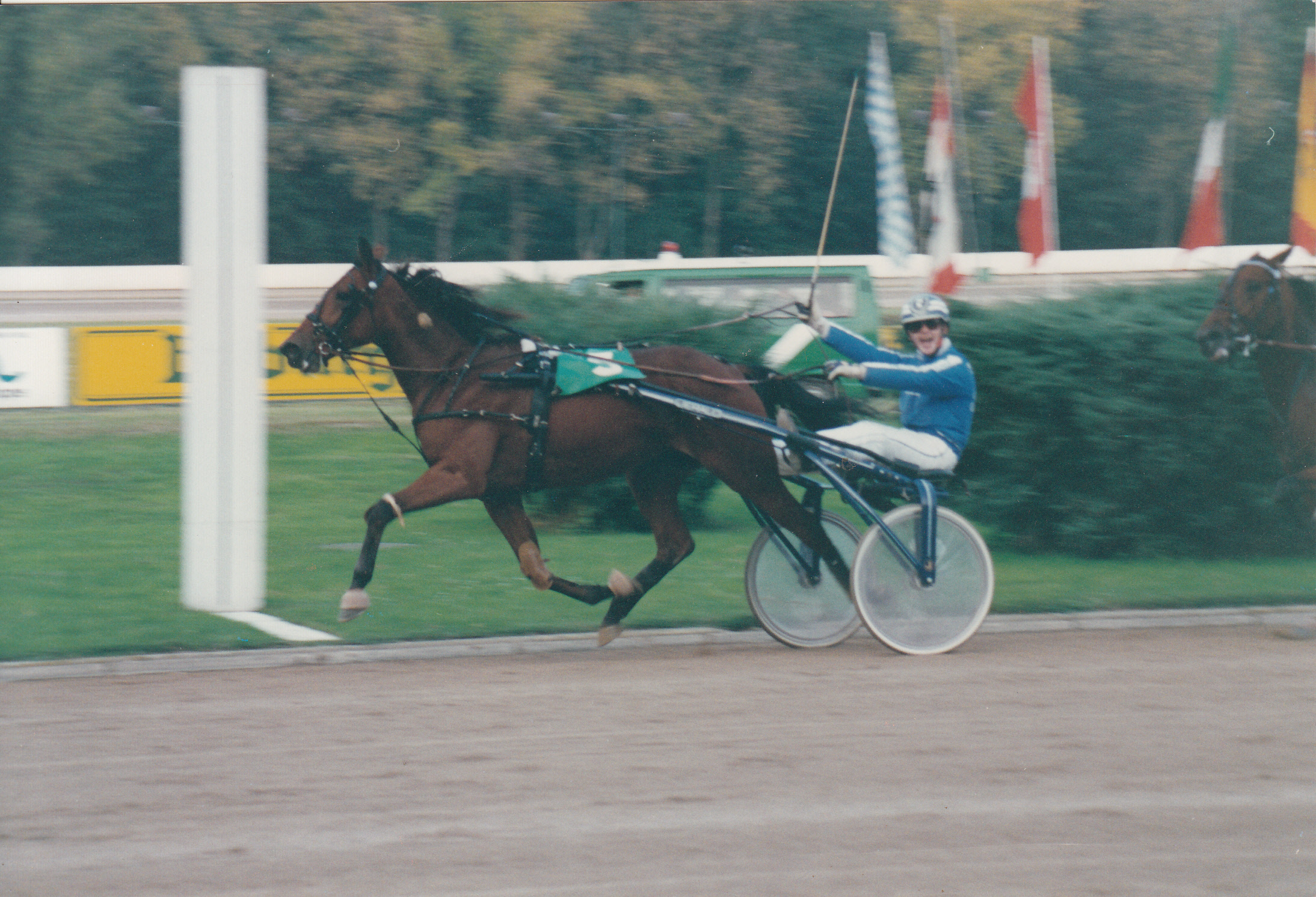 Gold Pokal